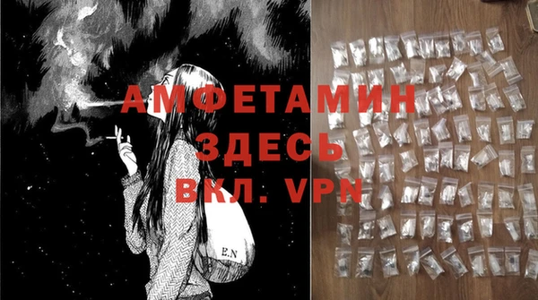 стаф Нея