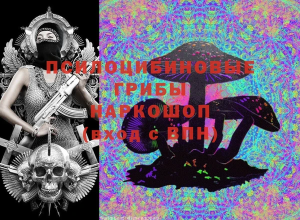 стаф Нея