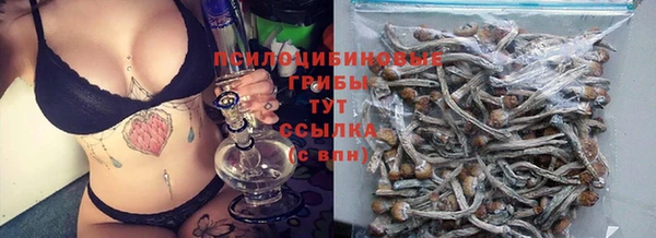 прущая мука Новодвинск
