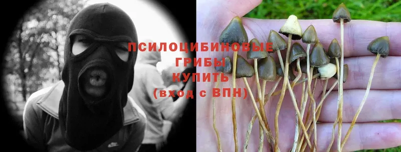 Псилоцибиновые грибы Magic Shrooms Кизел